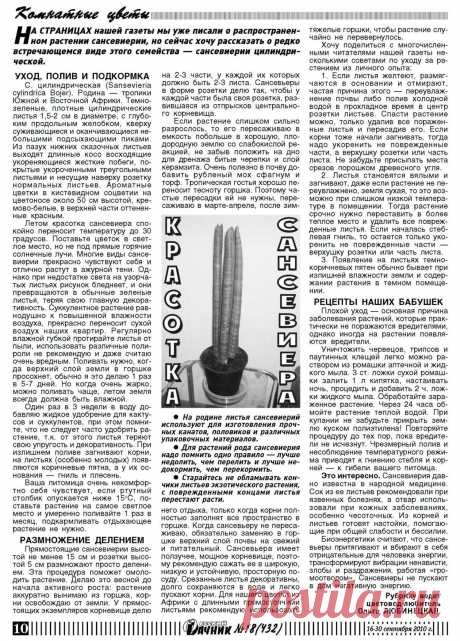 Сансевиерия цидиндрическая