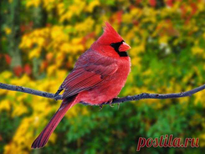 Природа.