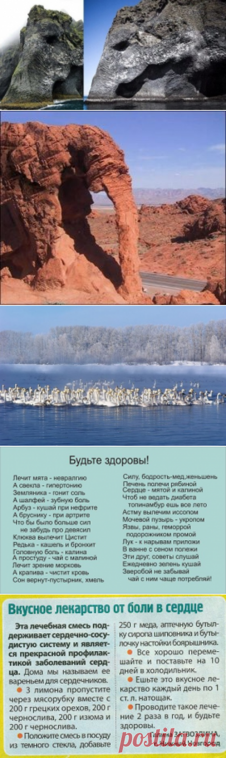 (19) Одноклассники