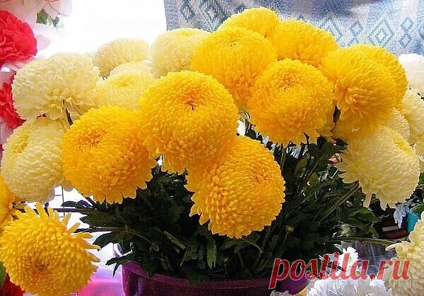 (20+) Группы | Facebook