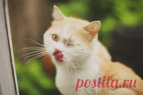 Ну,  что?  Пойдем?