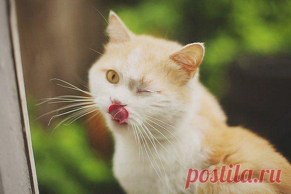 Ну,  что?  Пойдем?