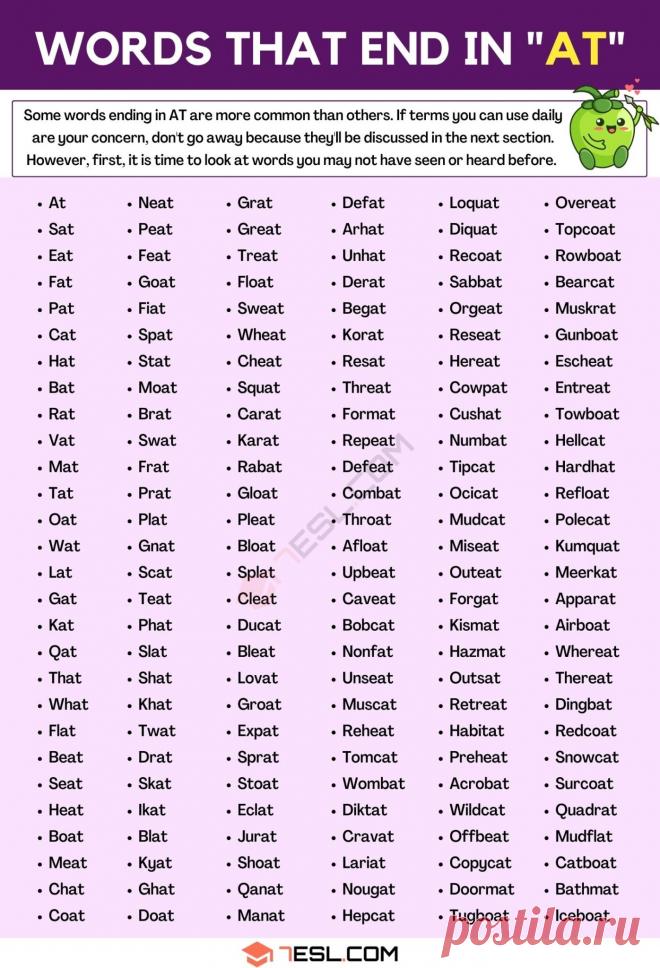 Words that End in AT (400+ Words in English)