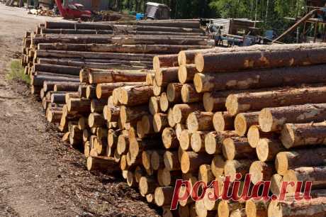 Материал не стоит ничего (63 фото)  Искусство мастера - бесценно










































































































































































…