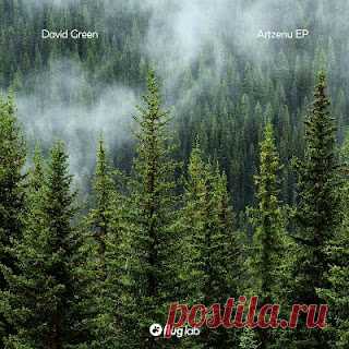 lossless music  : David Green - Artzenu