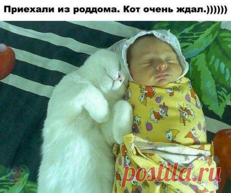 Девушка моего приятеля танцевала на столе. — Хорошие ножки, Сказал я ему. — Ты правда так считаешь? Спросил он. — Да, Ответил я... Не каждый стол способен выдержать такой вес. - Выпуск №3012