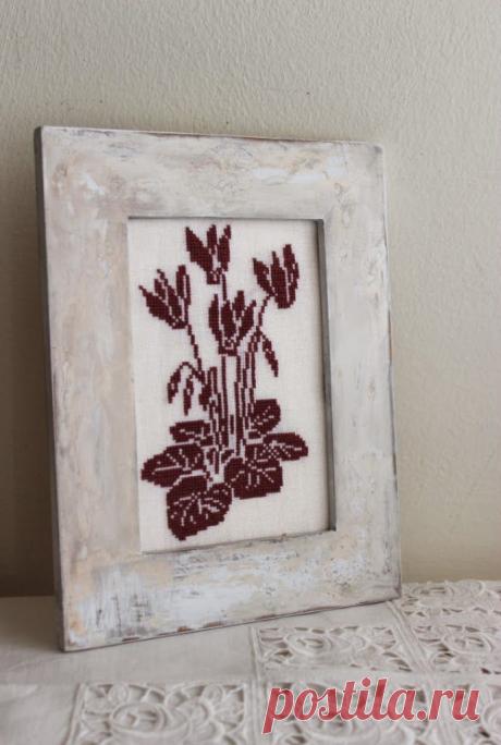 Лули: цикламен