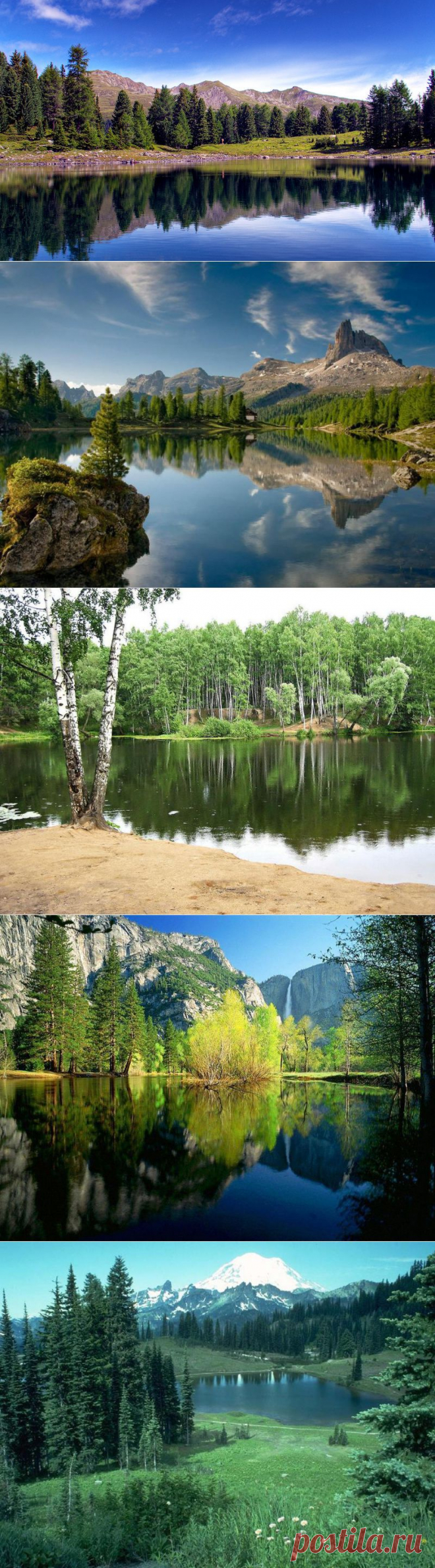 Красота лесного озера