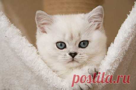 Мой Мир@Mail.Ru