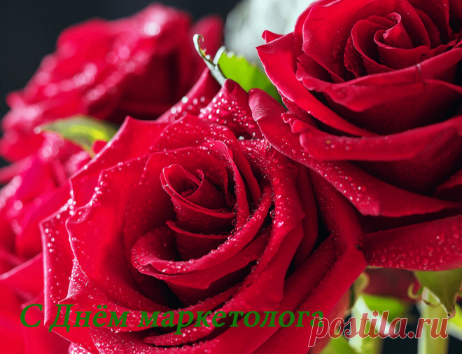 Маркетолог, поздравляем
Удачных сделок желаем тебе,
Во всех сферах жизни быть на высоте!