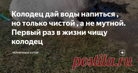 Колодец дай воды напиться , но только чистой , а не мутной. Первый раз в жизни чищу колодец