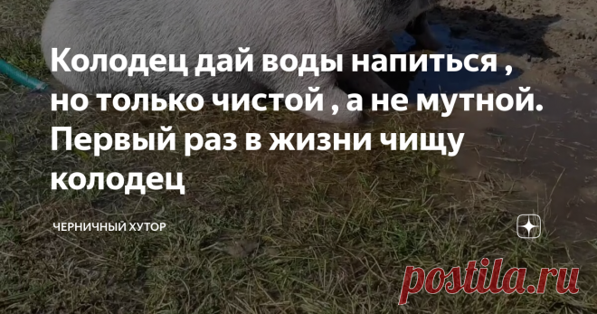Колодец дай воды напиться , но только чистой , а не мутной. Первый раз в жизни чищу колодец