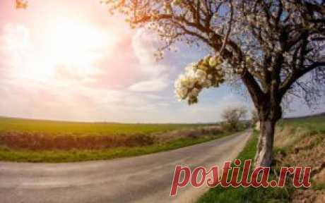 Топ-13: Самые интересные загадки, которые были недавно разгаданы