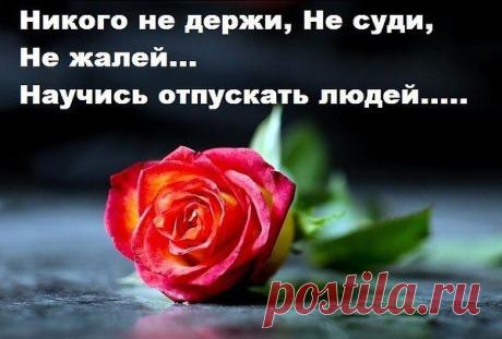 Голосование Мисс/Мистер