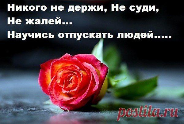 Голосование Мисс/Мистер