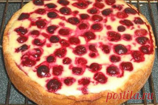 Пирог-сметанник с ягодами — MOJAKUHNJA.ru