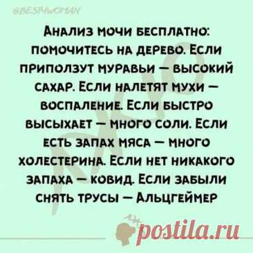 Выпуск №6526 - выпуск анекдотов сайта вокруг смеха