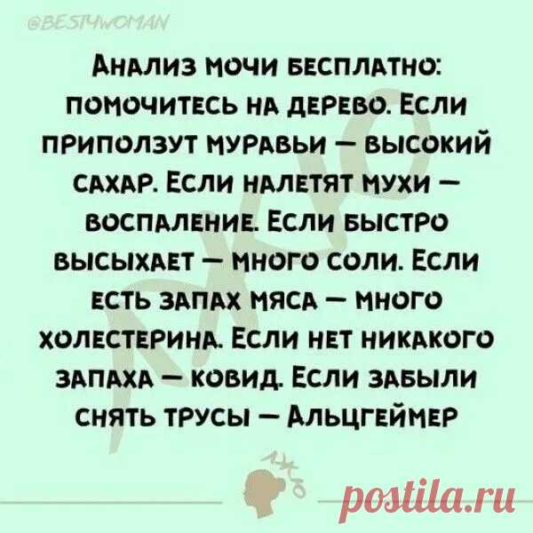 Выпуск №6526 - выпуск анекдотов сайта вокруг смеха