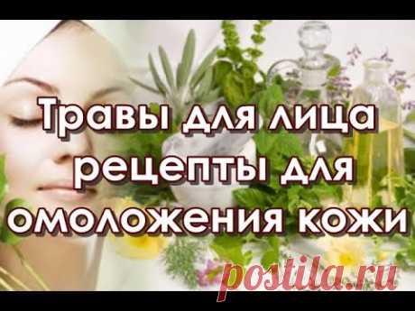 Травы для лица, рецепты для омоложения кожи
