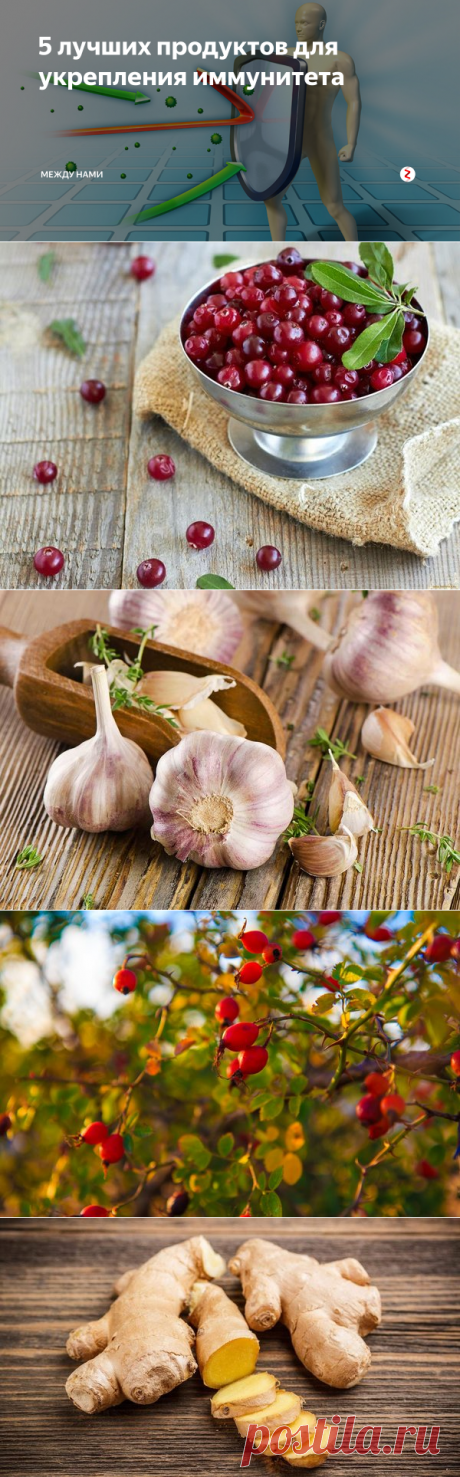 5 лучших продуктов для укрепления иммунитета | Между нами | Яндекс Дзен