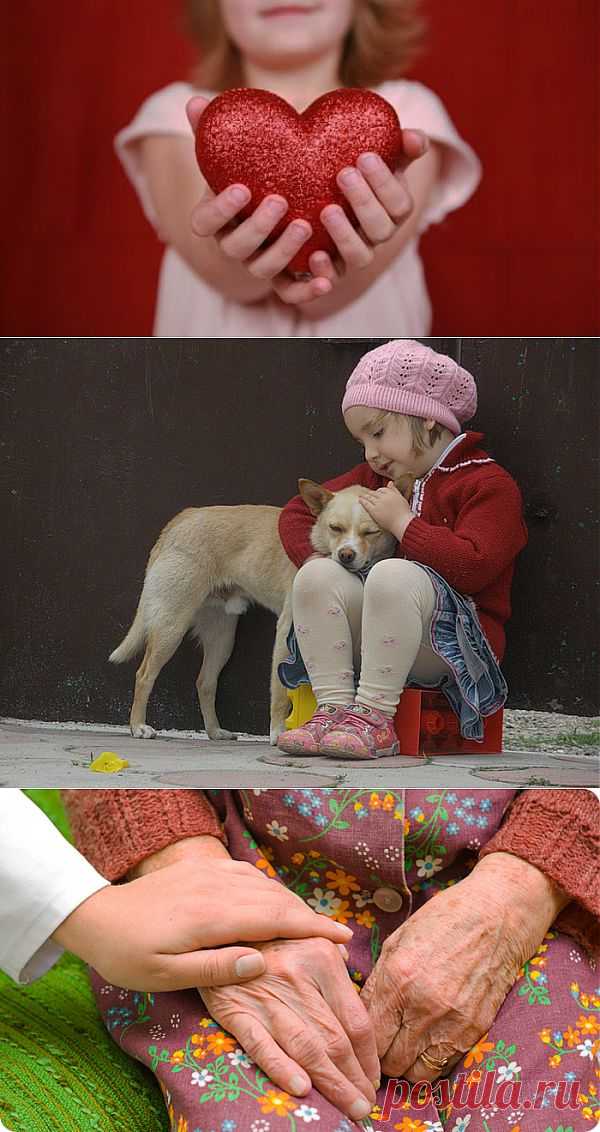 Доброта - это Луч, данный Небом для нас.