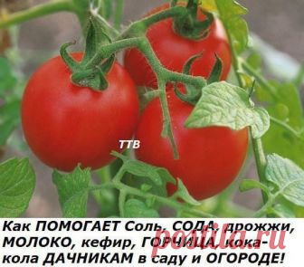 (1) Мой Мир@Mail.Ru