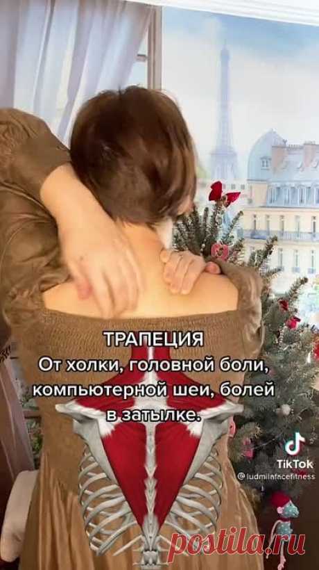 Сняли напряжение!  Спасибо автору!