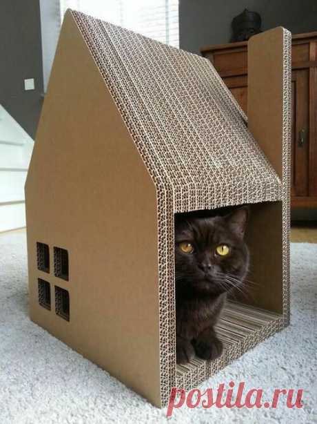 Необычные домики для котов (трафик)