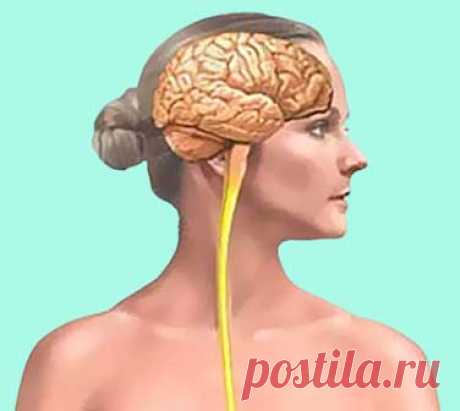 Симптомы рассеянного склероза у женщин. Их особенность. Рассеянный склероз (РС) — аутоиммунное заболевание, при котором нарушается поток информации в центральной нервной системе. Как только это развивается, состояние заставляет иммунную систему разрушать тип ткани, называемый миелином, который изолирует нервные волокна. Без достаточного количества миелина нервам трудно правильно передавать и получать сигналы.