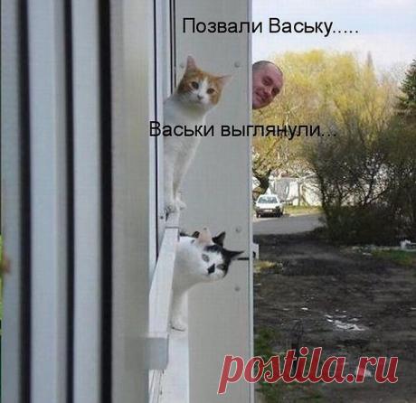 Интересные новости
