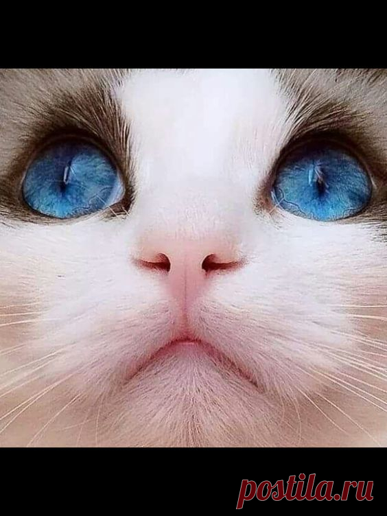 Pinterest