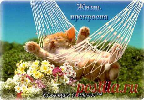 Вы спросите, как у меня дела? Отвечу вам, что... как обычно. Живу как в сказке, господа:
То хорошо, то все отлично!