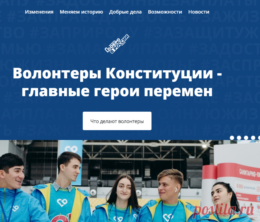 Волонтеры Конституции