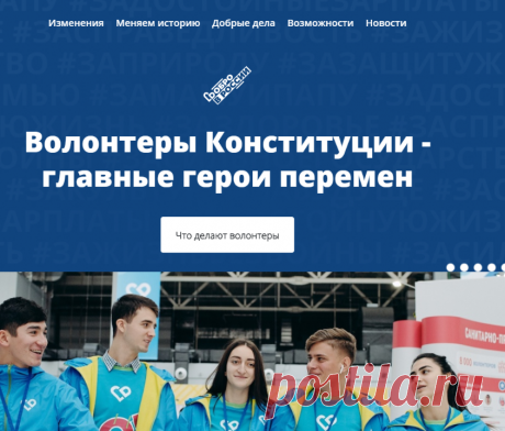Волонтеры Конституции