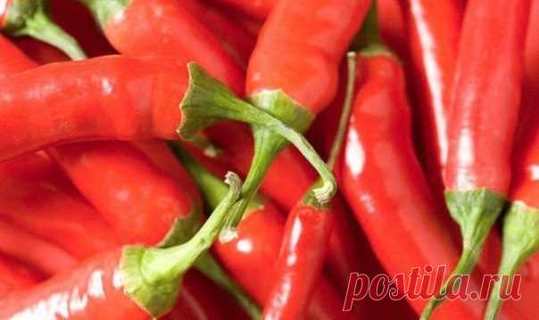 Секретная корейская приправа «Янним» - Простые рецепты Овкусе.ру