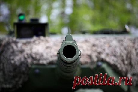 Раскрыто число иностранных наемников на херсонском направлении. Источник в российских силовых структурах рассказал, что на правобережье Днепра в Херсонской области находятся около 500 иностранных наемников. Среди них поляки, англичане и бойцы, входящие в состав «Кавказского легиона», «Батальона имени Шейха Мансура» и «Грузинского легиона».