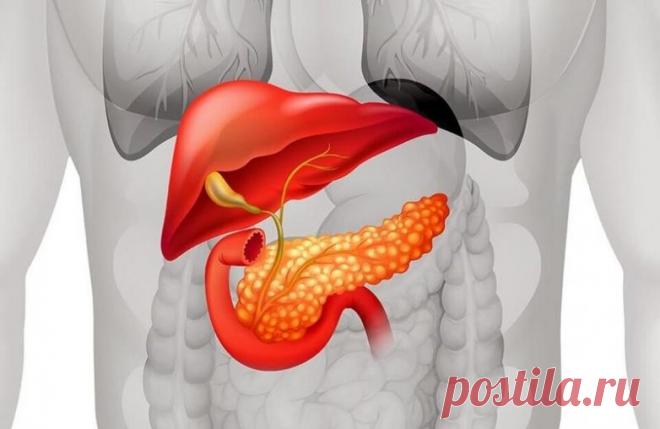 10 ранних симптомов рака поджелудочной железы, которые нельзя игнорировать / Будьте здоровы
