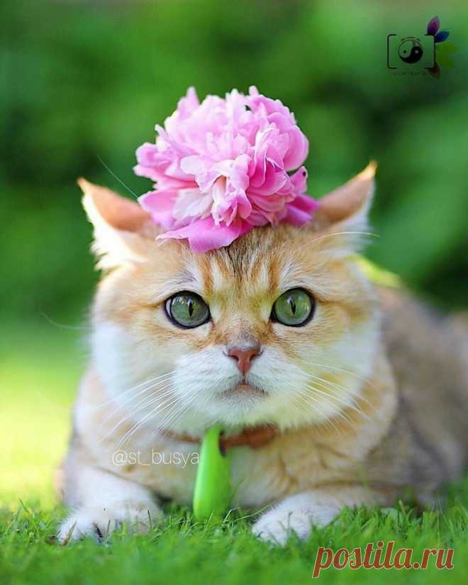 ♥