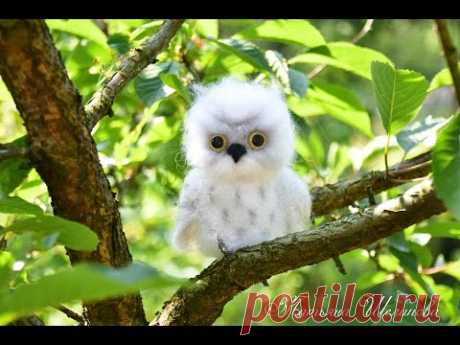 ШКОЛА  ФЕЛТИНГА Татьяны Шелиповой / СУХОЕ  ВАЛЯНИЕ  -- ПОЛЯРНАЯ  СОВА  / How to Make Felt OWL/毡玩具