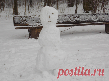 Зима в роще.