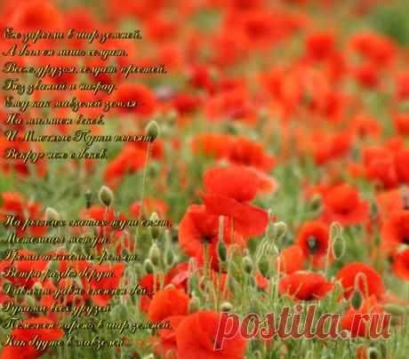 Плейкаст «Красные маки»