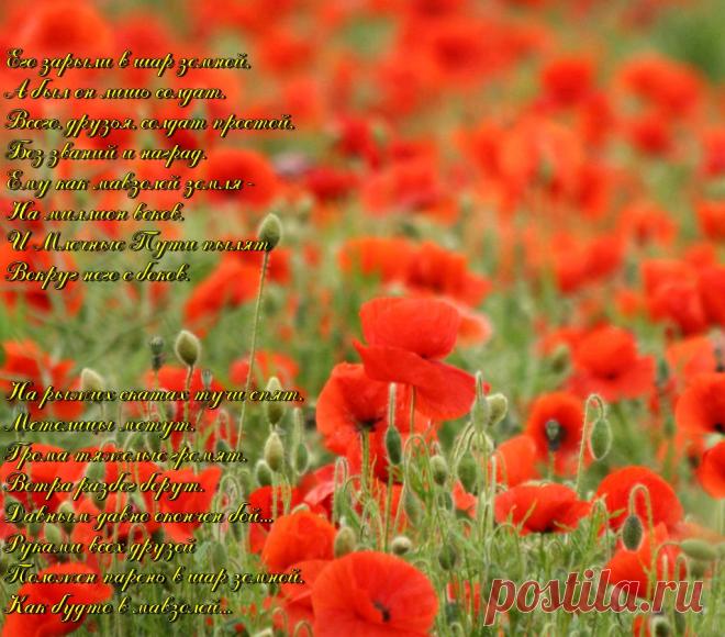 Плейкаст «Красные маки»