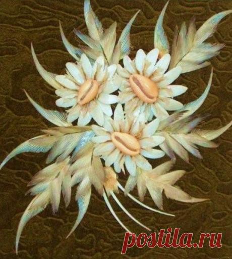 ochendaje | Драгоценные моллюски