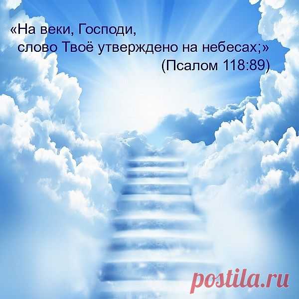 «Все Писание Богодухновенно и полезно для научения, для обличения, для исправления, для наставления в праведности» (2 Тимофею 3:16)