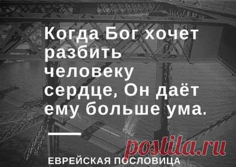 22 остроумные еврейские пословицы - Just Reading