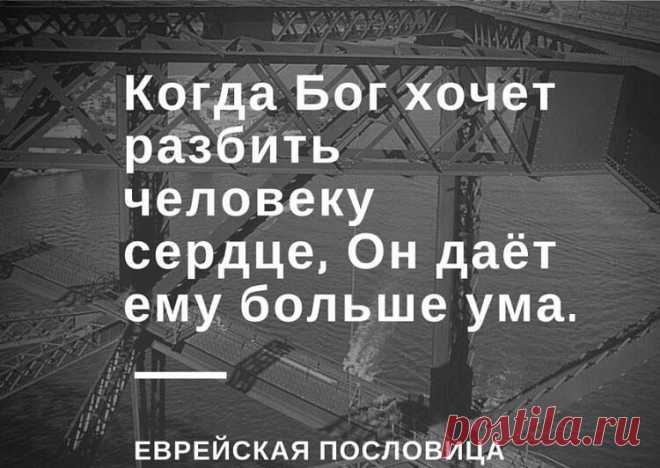 22 остроумные еврейские пословицы - Just Reading