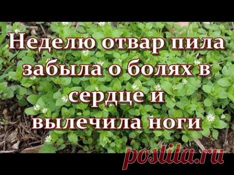 За неделю забыла о болях в сердце и вылечила ноги