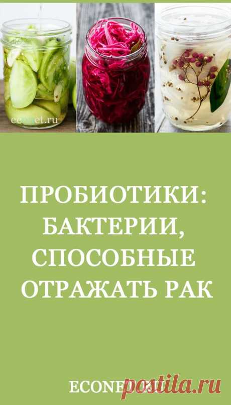 Пробиотики: Бактерии, способные отражать рак

✅ПРОБИОТИКИ помогают усваивать пищу и улучшают ее питательность. Конкурируют с патогенами за питательные вещества. Изменяют рН для создания локальной среды, враждебной для патогенов, поскольку обладают антибактериальным, противовирусным и противогрибковым воздействием. Борются со всеми инфекциями.