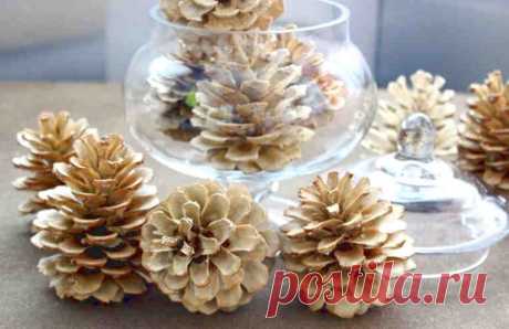 Как отбелить сосновые шишки для новогоднего декора
