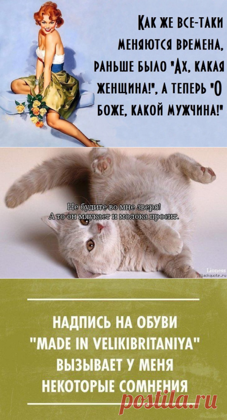 Забавные фразы и веселые выражения! - ОБЩЕНИЕ И ВСЕ САМОЕ ИНТЕРЕСНОЕ. - Группы Мой Мир
